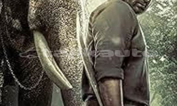 Buy Used Adler Diplomat Green Car in Chorku in Sughd