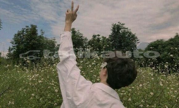 Buy Used AC Ace Brown Car in Ayni in Sughd Buy Used AC Ace Brown Car in Ayni in Sughd