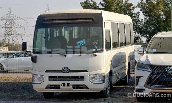 Buy Import Toyota Coaster White Car in Import - Dubai in Dushanbe Buy Import Toyota Coaster White Car in Import - Dubai in Dushanbe