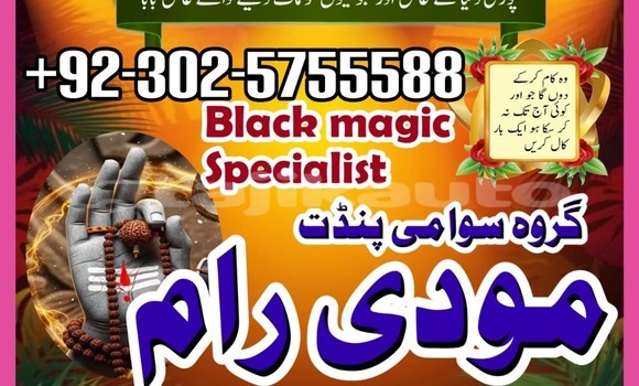 Buy Used AMC Hornet Brown Car in Ayni in Sughd Buy Used AMC Hornet Brown Car in Ayni in Sughd