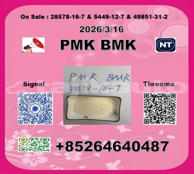 Big with watermark 2026 03 18 105403 %e5%89%af%e6%9c%ac 3 