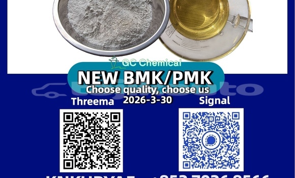 Buy New Acura CL Blue Car in Chkalov in Sughd