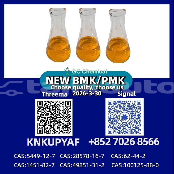 Big with watermark bertone freeclimber khatlon dangara 12377