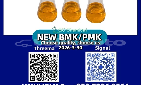 Buy New Bertone Freeclimber Black Car in Dangara in Khatlon