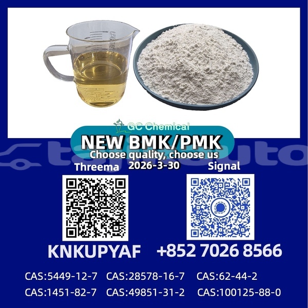 Big with watermark coggiola t rex khatlon nurak 12378