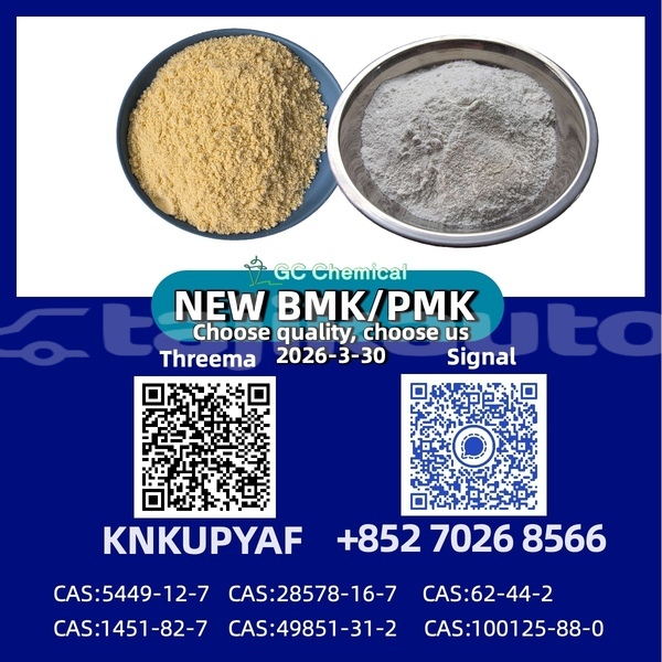 Big with watermark adler trumpf junior sughd taboshar 12384