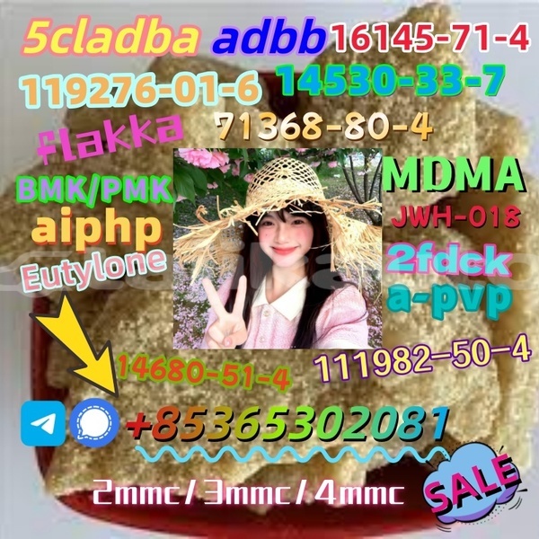 Big with watermark images 2 