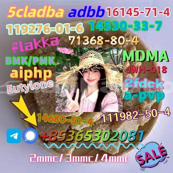 Big with watermark images 5 