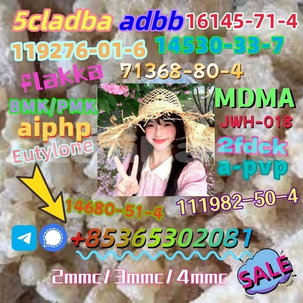 Big with watermark images 6 