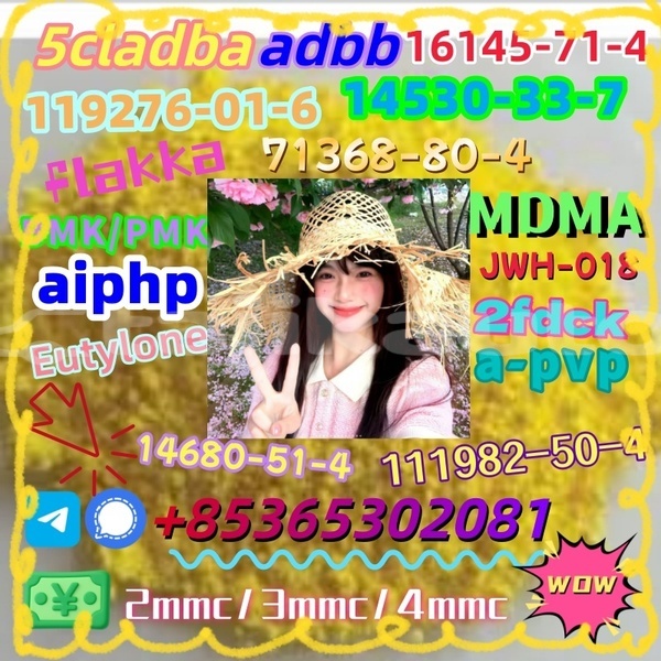 Big with watermark 1 16 %e5%89%af%e6%9c%ac