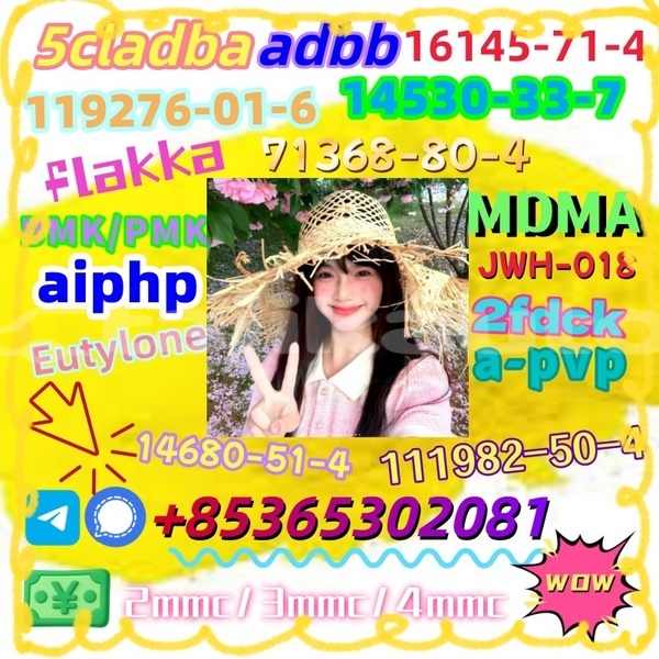 Big with watermark 1 16 