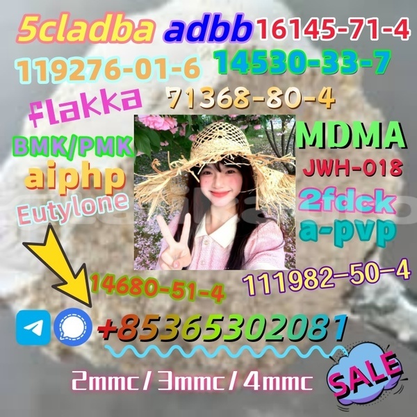 Big with watermark images 1 