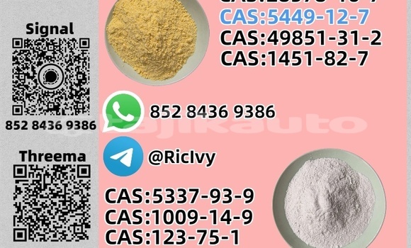 Buy Used Bertone Freeclimber Brown Car in Chkalov in Sughd