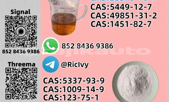 Buy Used Baltijas Dzips BD-1322 Brown Car in Ayni in Sughd