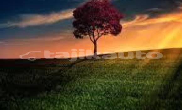 Buy XFGHTRY in Ayni in Sughd Buy XFGHTRY in Ayni in Sughd