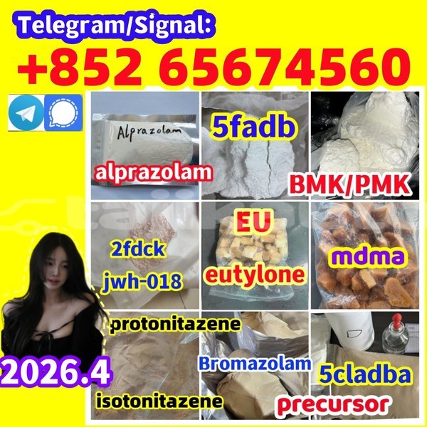 Big with watermark %e6%89%80%e6%9c%89%e6%9c%80%e6%96%b0 %e5%89%af%e6%9c%ac %e5%89%af%e6%9c%ac1562