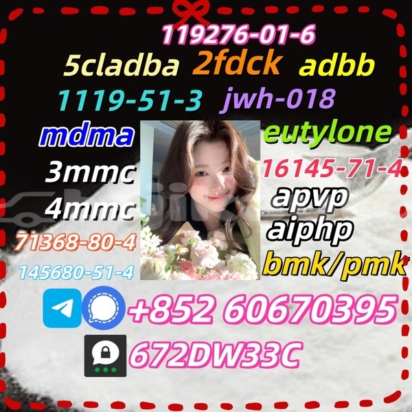 Big with watermark 1694394597195 1 