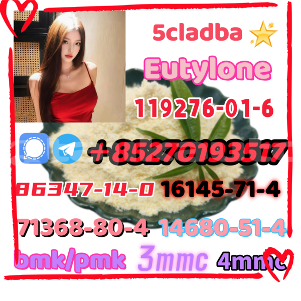 Big with watermark 12 1