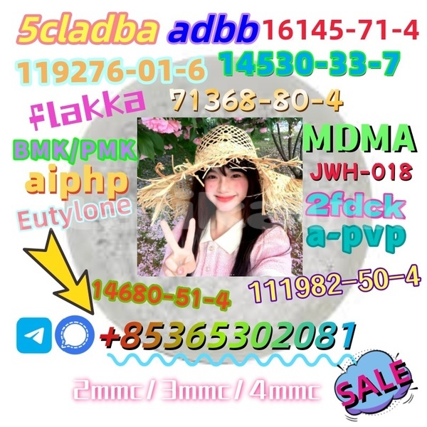 Big with watermark 1 10