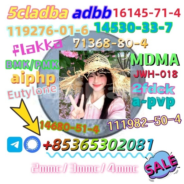 Big with watermark 1 11