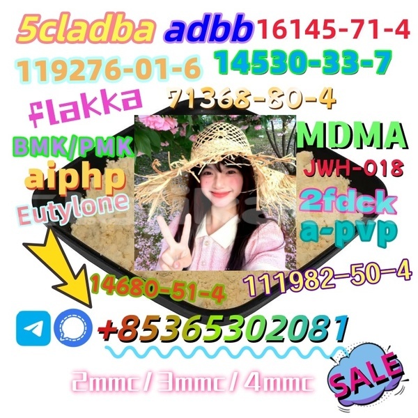 Big with watermark cas 37148 48 4 4 amino 3 5 dichloroacetophenone in stock 3