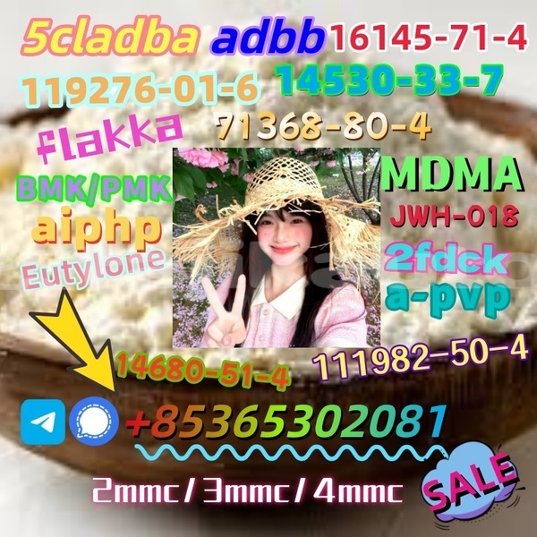 Big with watermark images 2