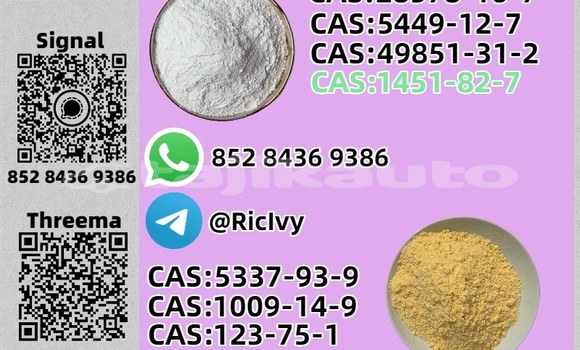 Buy Used Baltijas Dzips BD-1322 Brown Car in Khujand in Sughd