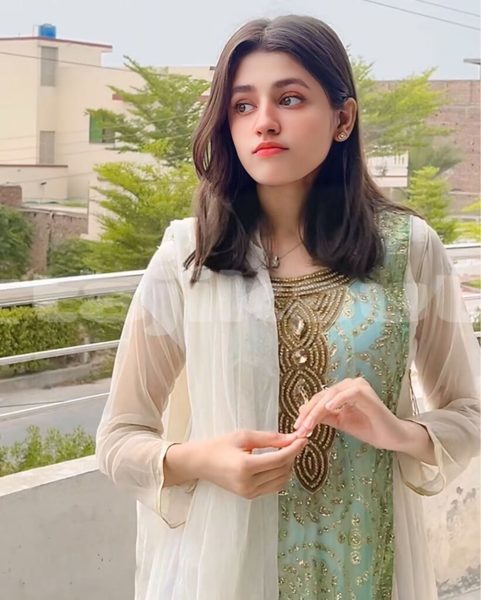 Big with watermark adler diplomat sughd asht 12827