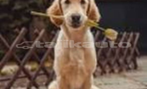 Medium with watermark download 2 