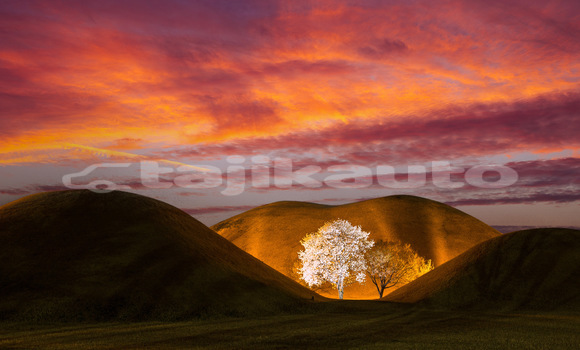 Medium with watermark 134081733044029543