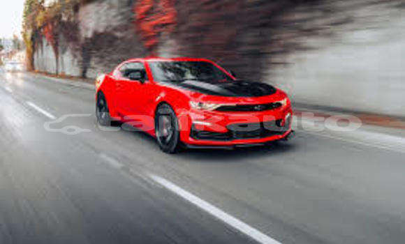 Buy Used Acura EL Brown Car in Chkalov in Sughd