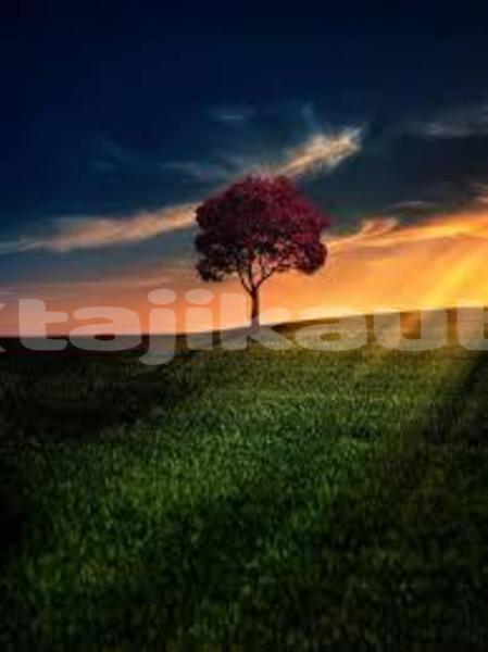 Big with watermark download 7 