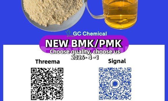 Buy New Cizeta V16t Brown Car in Dangara in Khatlon