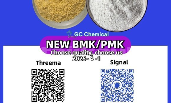 Buy New CHTC PICK UP Blue Car in Proletarsk in Sughd Buy New CHTC PICK UP Blue Car in Proletarsk in Sughd