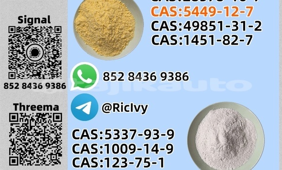 Buy Used Baltijas Dzips BD-1322 Other Car in Kolhozobod in Khatlon