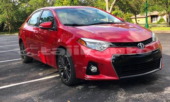 Buy Used Toyota Corolla Red Car in Dushanbe in Dushanbe