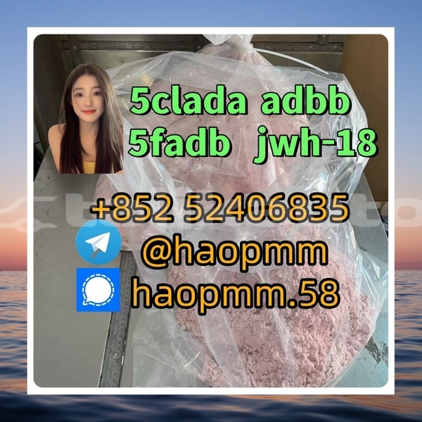 Big with watermark 1.1