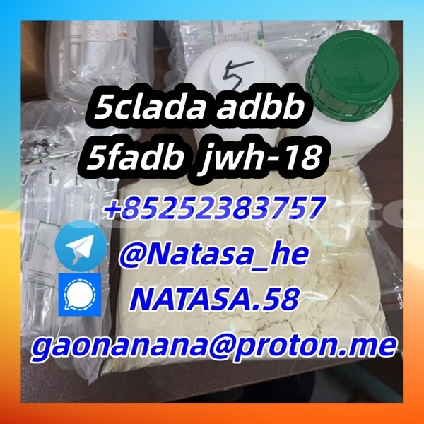 Big with watermark 3.1