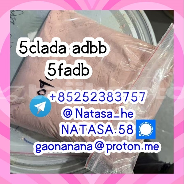 Big with watermark 7.0