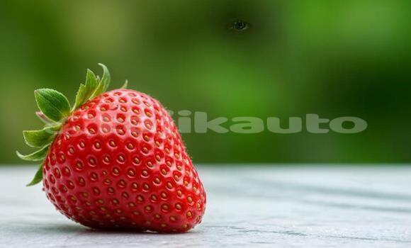 Buy GUGHU in Dushanbe in Dushanbe Buy GUGHU in Dushanbe in Dushanbe