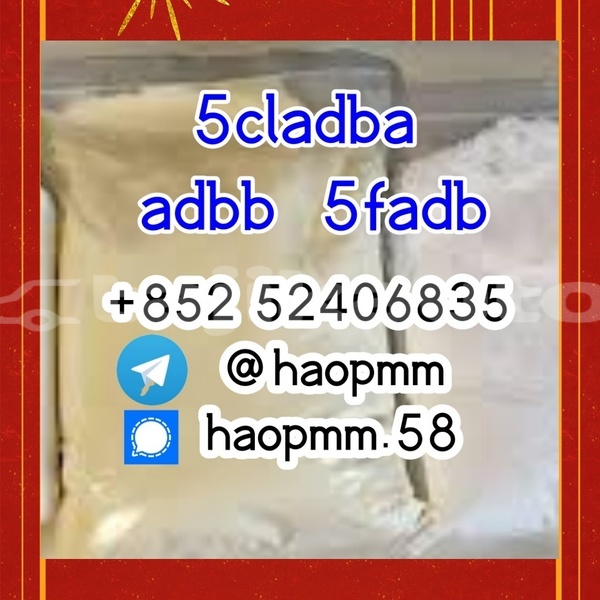 Big with watermark 10.1