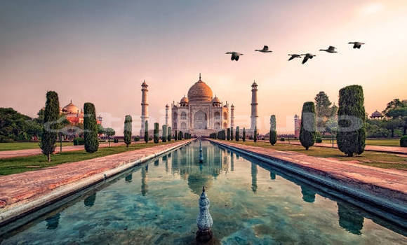 Buy Used Aurus Senat Brown Car in Dushanbe in Dushanbe