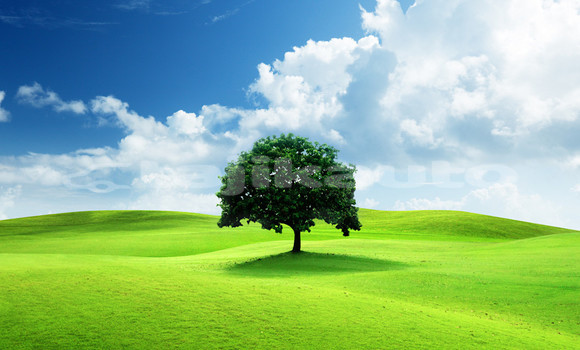 Buy Used Aermacchi RC 125 Green Bike in Chorku in Sughd