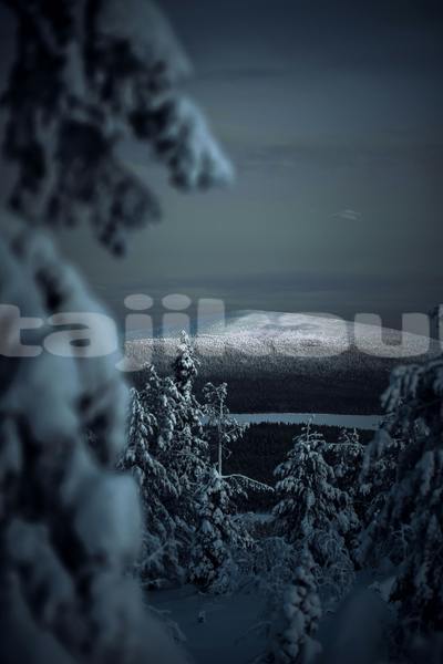 Big with watermark ss