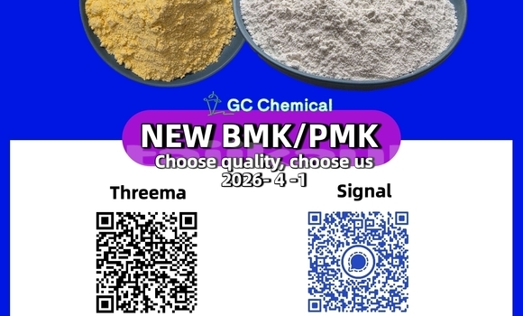 Buy New Acura Legend Brown Car in Buston in Sughd