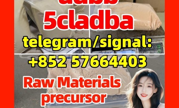 Medium with watermark 52