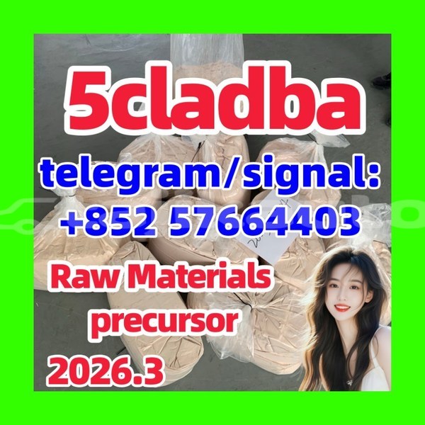 Big with watermark 554