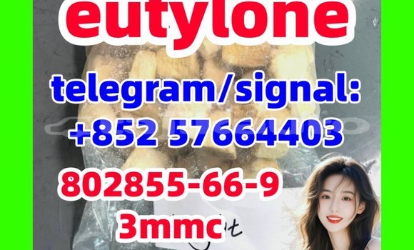 Medium with watermark e1