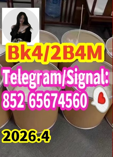 Big with watermark bmpm4 %e5%89%af%e6%9c%ac456