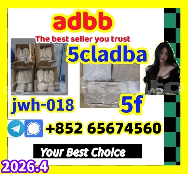 Big with watermark 5clad19 %e5%89%af%e6%9c%ac